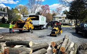 Best Tree Risk Assessment  in Kapolei, HI