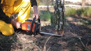 Best Lawn Maintenance Plans  in Kapolei, HI